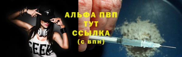 эйфоретик Билибино