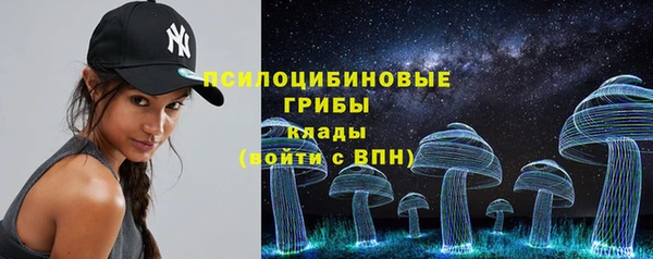 трава Новодвинск
