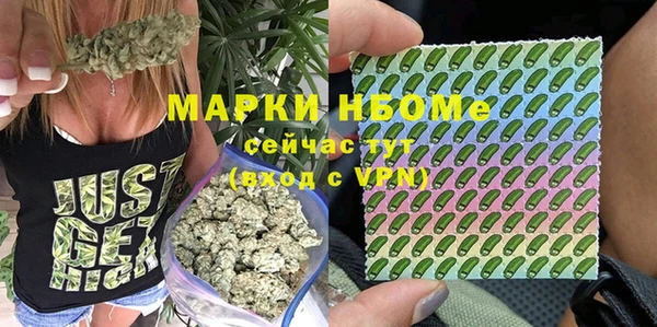 мяу мяу мука Новозыбков