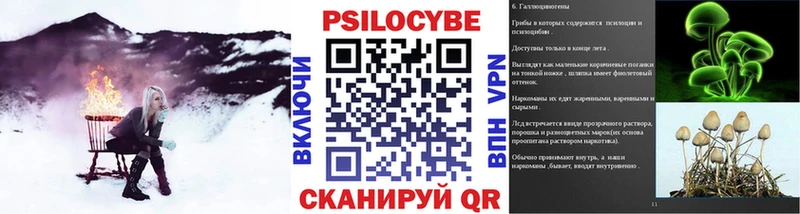 Псилоцибиновые грибы прущие грибы  Обь 